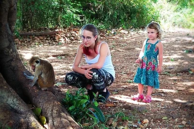 Book a private 3-hour jeep safari in udawalawe national park. see wild elephants, buffalo, and birds with an expert local guide. hotel pickup included.