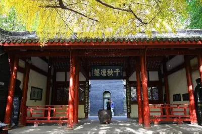Chengdu City Tour: Four Temples & Jinli Street with Lunch