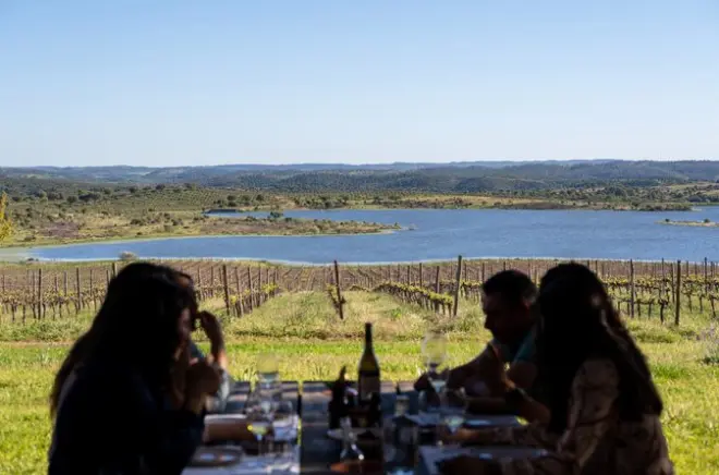 Tour privado no Alentejo saindo de Lisboa com almoço longo