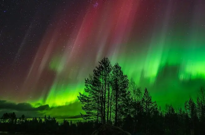 Caça à Aurora Boreal em Rovaniemi: Céu Claro Garantido