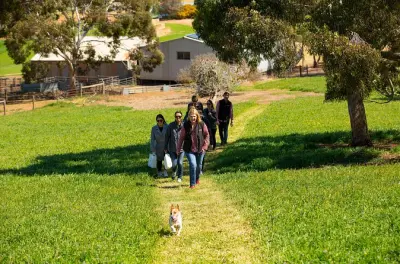 Schoff's Hill walk, wine tasting & lunch, Barossa Valley