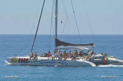 Cabo Girão & Dolphin Watching from Funchal: Jeep Tour + Boat