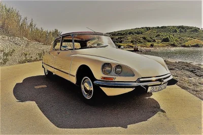Tour privato a dubrovnik su una classica auto del 1973. visita l’arboreto di trsteno, il fiume ombla e i migliori punti panoramici con guida locale. degustazione inclusa.