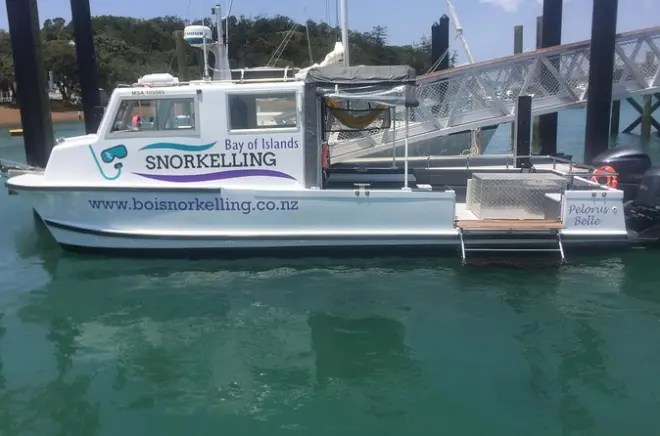 Snorkeling dans la baie des îles : Deux sites, entrée sans échelle