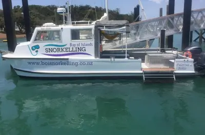 Snorkeling dans la baie des îles : Deux sites, entrée sans échelle