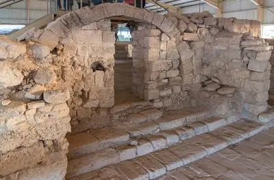 Da Amman a Madaba, Monte Nebo e Mar Morto con guida privata