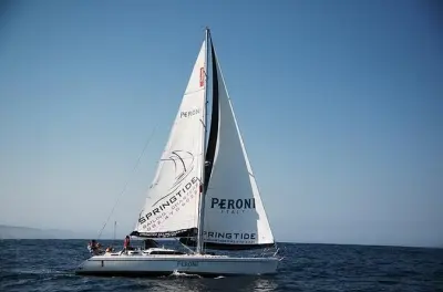 Velejada e almoço em Knysna: Charter de 2,5 horas pelos Heads