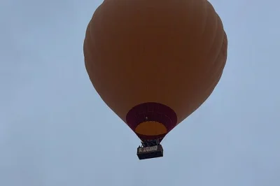 Survolez les contreforts de l’atlas à marrakech en montgolfière, savourez un petit-déjeuner berbère dans une tente du désert, puis partez en balade à dos de chameau parmi les palmiers. transfe