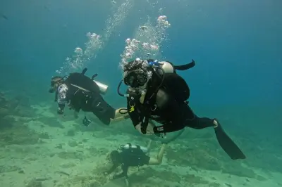 2 Dives for Certified Divers in Fujairah