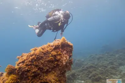 Diving in Tenerife: Learn to Dive with an Instructor