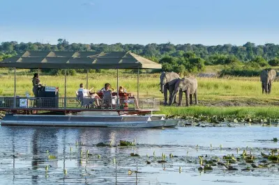 Chobe National Park tour: Game drive & river safari