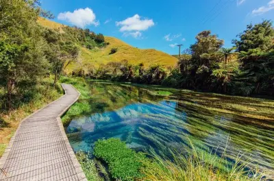 Visite du Hobbiton Movie Set et Blue Springs depuis Hamilton