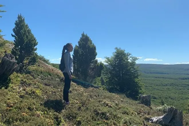 Punta Arenas con passeggiata nella riserva nazionale Magallanes