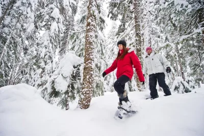 Step into whistler’s callaghan valley on a guided snowshoe tour, learn about medicinal plants, sip wild forest teas, and wander ancient cedar trails. includes shuttle.