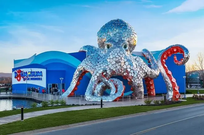 Branson Aquarium at the Boardwalk Admission: Ten zones
