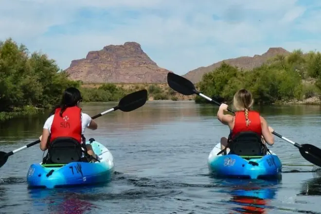 Kayak sur le Lower Salt River : Eau du désert et faune sauvage