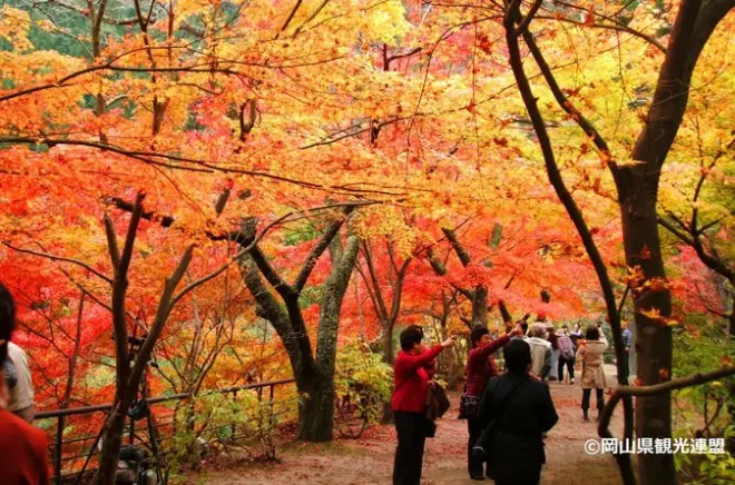 Okayama: Museo Nagi, valle Okutsu e sorgente termale in un giorno