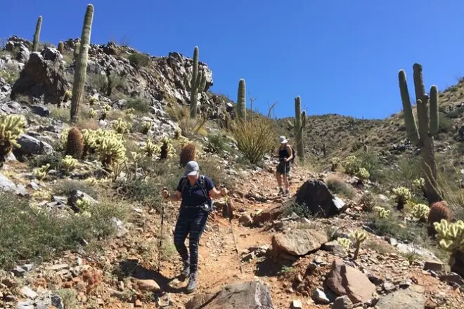 Randonnée guidée au McDowell Sonoran Preserve à Scottsdale
