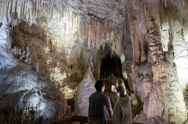 Aranui Cave Waitomo: 1-Hour Guided Tour of Delicate Formations