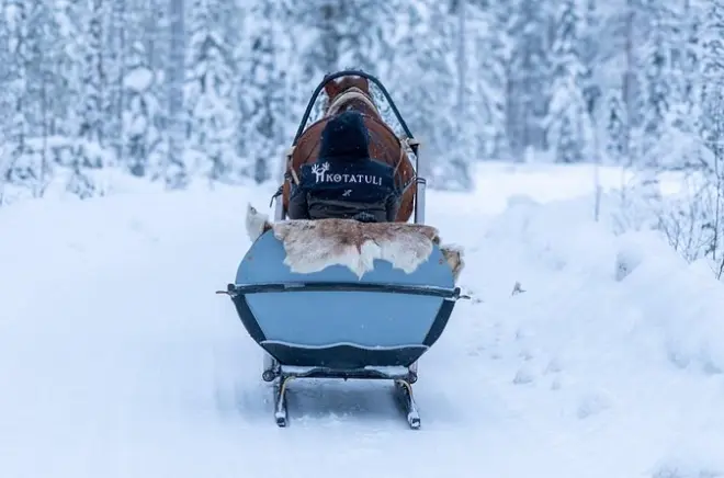 À Rovaniemi, nourrissez les chevaux et prenez les rênes du traîneau