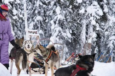 Dog sledding in Fairbanks: Mush your own team
