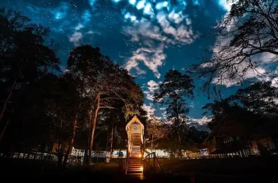 Tour jungle 3 jours à Iquitos : Muyuna Lodge et faune amazonienne