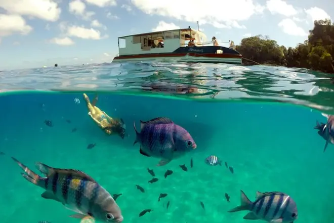 Boat Cruise and Sancho Bay Swim: Fernando de Noronha