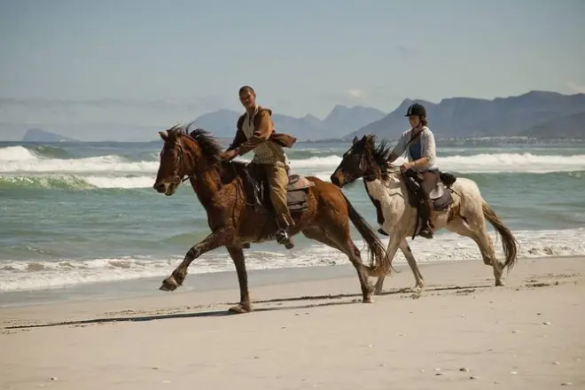 Strandritt Stanford: Walbeobachtung zu Pferd in Walker Bay