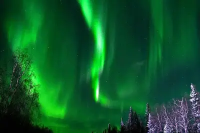 Chena Hot Springs aurora : Musée de glace et aurores boréales