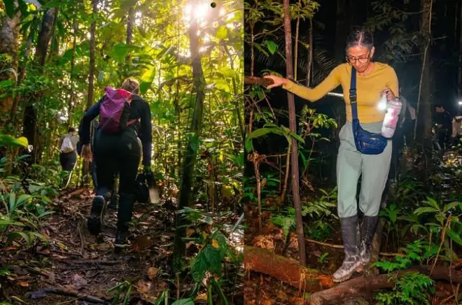 Leticia: 2 giorni tra canopy e case sugli alberi nell'Amazzonia