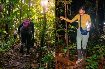 2-Day Amazon Canopy & Tree House in Leticia: Sleep in magical tree houses