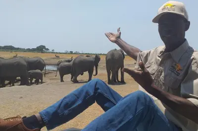 Hwange Nationalpark Ganztägige Safari ab Victoria Falls