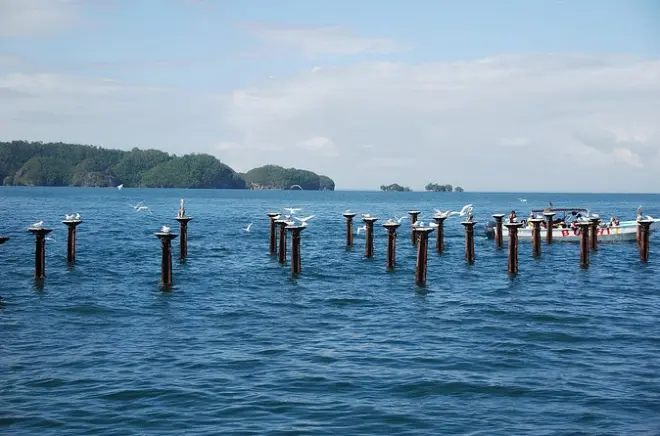 Los Haitises ab La Romana: Mangroven, Höhlen, Wasserfall