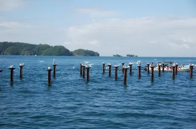Los Haitises ab La Romana: Mangroven, Höhlen, Wasserfall
