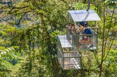 Explore costa rica’s veragua rainforest, ride the aerial tram, and cruise tortuguero canals. wildlife, guided walks, and local culture in one shore trip.
