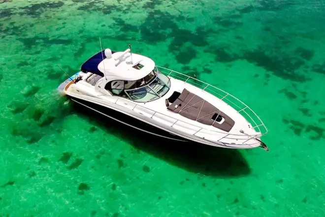 Snorkel em Playa del Carmen: Iate privado com tartarugas marinhas