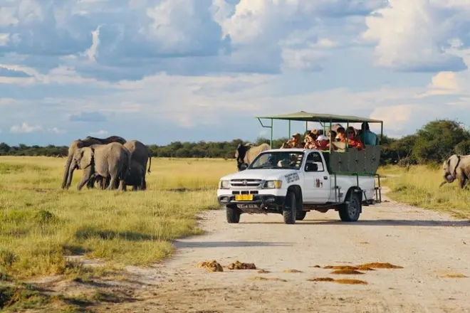 Safari no parque nacional Etosha: Aviste os big 4