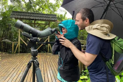 Manuel antonio entdecken: faultiere & affen beobachten, ruhige pfade erkunden und entspannt am strand chillen. inklusive abholung und eintritt.