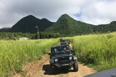 Feel the island’s wild side on a st kitts 4x4 jeep drive with local stories, animal sightings, and a laid-back beach stop at frigate bay. includes bottled water & ac jeep.