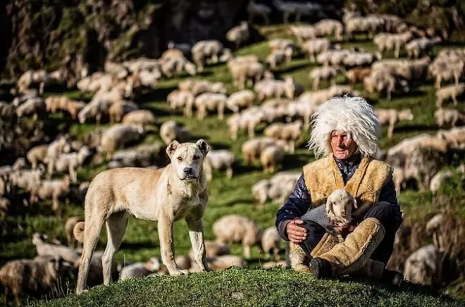 Kazbegi 2 dias: Igreja de Gergeti e Ananuri