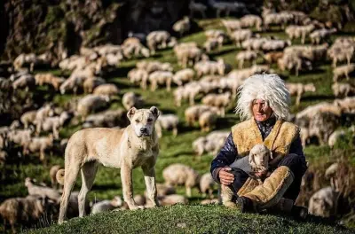 Kazbegi 2 giorni privato: Chiesa di Gergeti e Ananuri