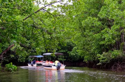 Croisière mangrove à Semporna avec lucioles et dîner