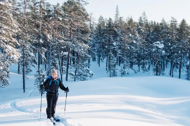 Pyhätunturi Wilderness Skiing Private Tour with Guide