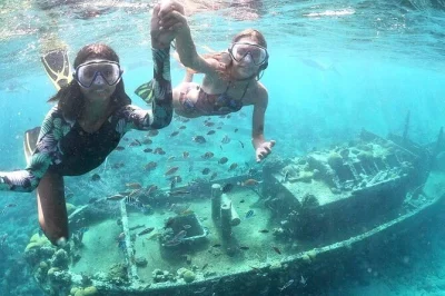 Swim at curacao’s tugboat wreck, explore director’s bay, and relax with a cold drink on this guided snorkeling tour. includes lunch and all equipment. book now.