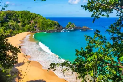 Fernando de Noronha Boat Tour: Dolphins, Turtles & Swimming