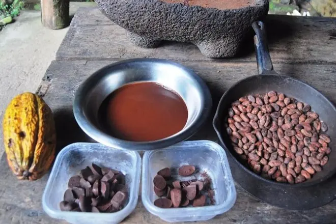 Tour de chocolate Bribri: Del cacao al avistamiento en Cahuita