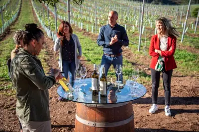 Degustação de vinhos Albariño em Rías Baixas com queijo na vinícola