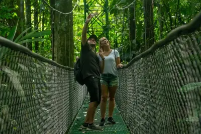 Puentes colgantes en la selva y canales de Tortuguero desde Limón