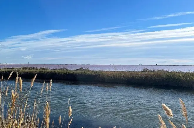 Camargue e Aigues-Mortes: Tour tra zone umide e città fortificata