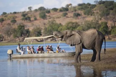 Chobe Safari from Livingstone: River Cruise & Game Drive